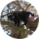 Amparo Veronica Rodriguez del Valle Bustamante profile picture